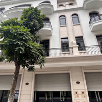 Bán Gấp Căn Shophouse Sao Biển 11 Vinhomes Ocean Park 2, Sát Chung Cư Và Vincom Mega Mall