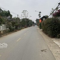Đất Vàng Giá Rẻ Cơ Hội Cho Nhà Đầu Tư