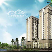 Cho Thuê Cc 3 Phòng Ngủ 2 Vệ Sinh 130M2, 24 Triệu Tại Đà Nẵng Plaza, Hải Châu, Đà Nẵng Đẹp, Tiện Ích