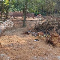 Bán Đất Nền Tạicó Thương Lượng419, Quốc Oai, Hà Nội, Giá Tốt Chỉ Với 10 Triệu / M2, 442 M2