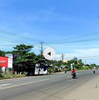 Chính Chủ Bán Đất Mặt Tiền Ql13 Lộc Ninh Bình Phước Có Nhà Và Vườn Cây Ăn Trái Sầu Riêng
