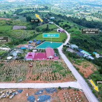 Đông Thanh - Lâm Hà - Lâm Đồng Nằm Ngay Khu Homestay Đang Hoàn Thiện Lô 1: 399 Tr, Lô 2: 459 Tr