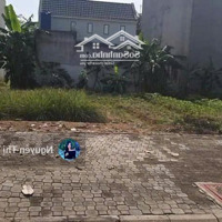 Bán Gấp Đất Đ. Nguyễn Văn Tư, Phường 7, Bến Tre Cách Vòng Xoay Mỹ Hóa 300M 120M2/Tr Shr