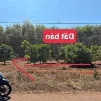 Siêu Hot Đất Đẹp Đức Cơ, Gia Lai Giá Tốt Thị Trường Mặt Tiền Đường Nhựa Qh 25M Bán Gấp 199 Triệu