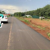 Siêu Hot Đất Đẹp Đức Cơ, Gia Lai Giá Tốt Thị Trường Mặt Tiền Đường Nhựa Qh 25M Bán Gấp 199 Triệu