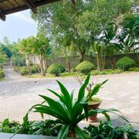 Cần chuyển nhượng Khu Biệt Thự Nghỉ Dưỡng Lương Sơn- Hoà Bình (cách sân golf skylake 500m)