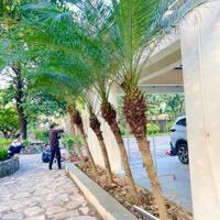Cần chuyển nhượng Khu Biệt Thự Nghỉ Dưỡng Lương Sơn- Hoà Bình (cách sân golf skylake 500m)