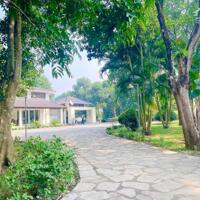 Cần chuyển nhượng Khu Biệt Thự Nghỉ Dưỡng Lương Sơn- Hoà Bình (cách sân golf skylake 500m)