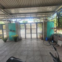 Bán Nhà Riêng Đẹp, 1,35 Tỷ, 231M2 Tại Đường 39, Châu Đức, Bà Rịa Vũng Tàu