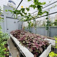 Nhà Mặt Phố Trần Phú, Mỗ Lao, Hà Đông, Hà Nội, Chỉ Với 33 Tỷ, 76 M2