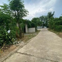 Đất Nghỉ Dưỡng 7,7 Sào Có 200Thổ ,Vườn Cây Ăn Quả