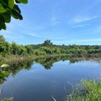 Đất Nghỉ Dưỡng 7,7 Sào Có 200Thổ ,Vườn Cây Ăn Quả