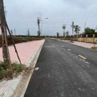 Bán Đất Dịch Vụ Khu X2 Xã Song Phương Hoài Đức, Đường Trước Nhà 13M, Diện Tích: 48M2, Hướng Đông Nam, Sđcc