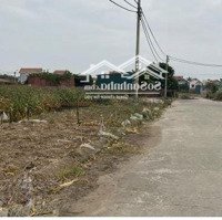 Bán Đất Nền Tại Đình Tổ, Thuận Thành, Bắc Ninh, 32 Triệu, 85M2