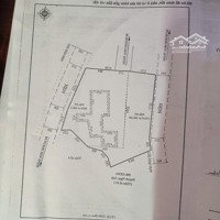 Chính Chủ Bán Đất Tại Hoàng Hoa Thám, Phường 10, Đà Lạt, 25 Triệu/M2, 480 M2, Có 300M2 Xd Hàng Hiếm
