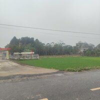 Cần cho thuê lâu dài lô đất siêu rộng xã Đông Thanh, Đông Sơn, Thanh Hóa 2.150m2, mặt tiền lớn