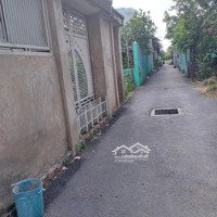 Bán Nhà Đất Tặng Nhà Cấp 4 Cách Phà Bình Khánh 500M