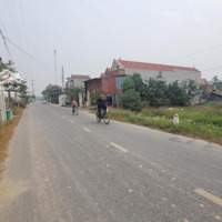 Bán Đất Thường Tín, Diện Tích 400 - 2000M2, Làm Nhà Xưởng, Xây Homestay, Trường Học, Viện Dưỡng Lão