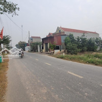 Bán Đất Thường Tín, Diện Tích 400 - 2000M2, Làm Nhà Xưởng, Xây Homestay, Trường Học, Viện Dưỡng Lão
