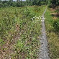 Bán Đất Thanh Tuyền, Dầu Tiếng, Quy Hoạch Đất Ở Diện Tích Gần 10.000M2. Giá Bán 1 Triệu/M2