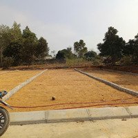 Bán Gấp Chỉ 230 Triệu/ Lô (Bao Mọi Chi Phí Sổ)Diện Tích200M2, Đất Ở Thạch Quảng Thạch Thành Thanh Hoá