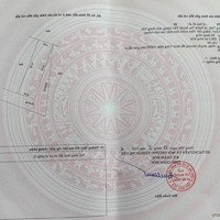 Hàng Đẹp Mini Siêu Hiếm Nghĩa Trụ, Văn Giang, Hưng Yên