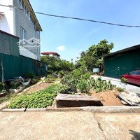Hàng Đẹp Mini Siêu Hiếm Nghĩa Trụ, Văn Giang, Hưng Yên