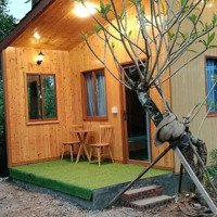 Bán Homestay Hony Phú Lộc Thừa Thiên Huế. Đang Cho Thuê 300 Triệu/Năm