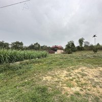 Cần Bán 1218M/150M Thổ Cư Giá Chỉ Hơn 4 Triệu/M Tại Yên Bài, Ba Vì (Cách Ubnd Xã 40M)