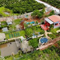 Bán Trang Trại View Đẹp Tại Xã Tà Nung, Đà Lạt, Lâm Đồng, 12,6 Tỷ, 1151 M2 Có 820 M Xây Dựng