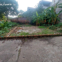 Sổ Đỏ Cc 80M2 Đất Tiên Hùng Nguyên Khê Đường 3,5M 20M Ra Đường Oto Tránh Kinh Doanh Giá Nhỉnh 4 Tỷ