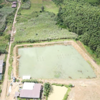 Bán Đất 5,6 Hecta Làm Nhà Vườn, Trang Trại, Nhà Kính Mặt Tiền 500M Đường Oto Huyện Khánh Vĩnh