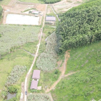 Bán Đất 5,6 Hecta Làm Nhà Vườn, Trang Trại, Nhà Kính Mặt Tiền 500M Đường Oto Huyện Khánh Vĩnh