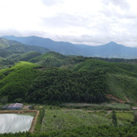 Bán Đất 5,6 Hecta Làm Nhà Vườn, Trang Trại, Nhà Kính Mặt Tiền 500M Đường Oto Huyện Khánh Vĩnh