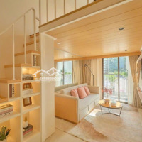Vốn 500 Triệu Đầu Tư Ở Đâu Chắc Thắc - Căn Hộ Duplex Siêu Vip Trong Kđt Sun Group, Ls 0%/24 Tháng