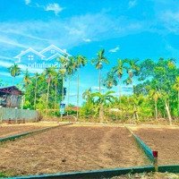 Chính Chủ Cần Bán Nhanh Lô Đất Ngay Sau Lưng Chợ Lệ Trạch