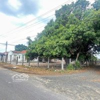 Cần Bán Lô Góc, Đừờng Nhựa Qh 40M,Diện Tích1741M2, Mặt Tại Xã Vạn Thắng, Vạn Ninh, Khánh Hòa, Giá Rẽ