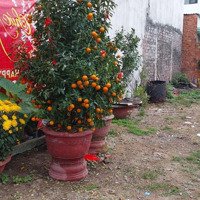 Bán Đất Tại Trần Đình Tri, 1,98 Tỷ,Diện Tích70,8M2, Pháp Lý Đầy Đủ