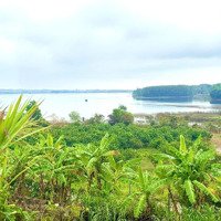 Bán Gấp 1,1 Sào Đất Tại Hồ Đá Bàng Cách Bà Rịa 8Km Giá Bán 800 Triệu Đường Nhựa Ngang 16M Liên Hệ: 0933366606