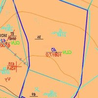 Bân 1,1 Ha Sầu Riêng Lộc Thành, Bảo Lâm Gần Ql 55, 3 Tỷ 0901282628