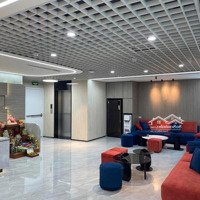 Mặt Phố Nguyễn Văn Huyên, Cầu Giấy, Hà Nội, Mặt Tiền 10M Thông Thoáng, Sàn Rộng Tổng Diện Tích 300M