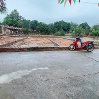 Hàng F0 Cần Tìm Nhà Đầu Tư Ạ Tại Xuân Đồng Tân Minh Sóc Sơn Hà Nội