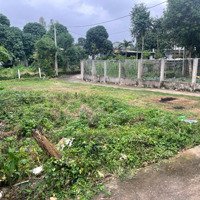 Bán Đất Giá Mềm Hơn Cả Đất Hòa Vang. Giá Bán 1.42 Tỷ Có Thương Lượng