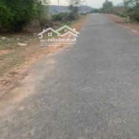 Bán Đất Đẹp Mặt Tiền Nhựa Tại Xã Thuận Hòa, Giá Tốt Chỉ 4 Tỷ, Diện Tích 16.000M2