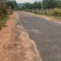 Bán Đất 1.6Ha, Mặt Tiền Nhựa 160M. Giá Chỉ 4 Tỷ Vnd, 16000 M2, View Đẹp, Hot!