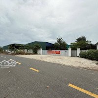2 Ha Skc Đất 2 Mặt Tiền Nhựa Trừ Văn Thố Bàu Bàng Full Skc 50 Năm Đã Đóng Tiền 1 Lần, Đường Xe Công
