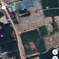 2 Ha Skc Đất 2 Mặt Tiền Nhựa Trừ Văn Thố Bàu Bàng Full Skc 50 Năm Đã Đóng Tiền 1 Lần, Đường Xe Công
