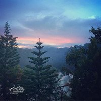 Bán Khu Resort Đẳng Cấp Đường Khe Sanh Phường 10 Đà Lạt View Thung Lũng Xanh.