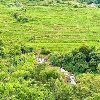 Bán Lô Đất 7000M. Bám Suối 100M. View Ruộng Bậc Thang. Phù Hợp Đầu Tư Nghỉ Dưỡng. Nhỉnh 1 Tỷ