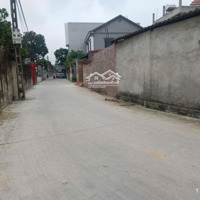 Bán Đất 94M2 Tại Đường Bắc Hạ, Xã Quang Tiến, Sóc Sơn, Hà Nội, 1,8 Tỷ